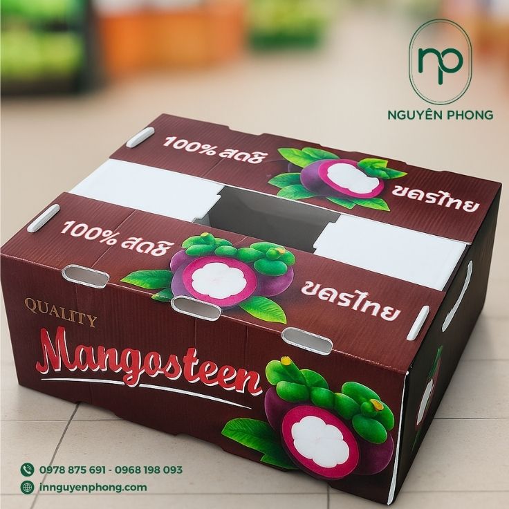 Mẫu thùng carton đựng măng cụt đạt chuẩn